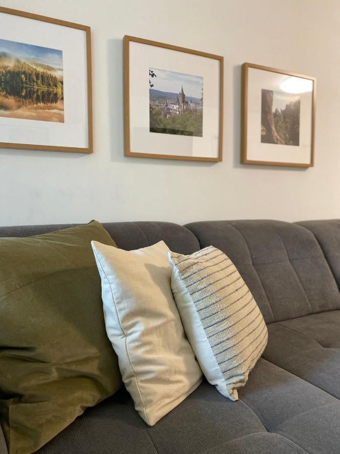 Ferienwohnung Braunlage-Harz Schwimmbad-Sauna, Wlan, Parkplatz Kültér fotó
